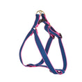 Load image into Gallery viewer, Color Market Dog Harness