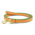 Load image into Gallery viewer, Color Market Small Breed Dog Lead
