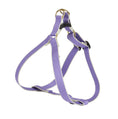 Load image into Gallery viewer, Color Market Dog Harness