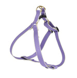 Color Market Dog Harness