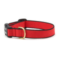Load image into Gallery viewer, Color Market Dog Collar - Narrow