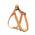 Load image into Gallery viewer, Color Market Dog Harness