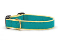 Load image into Gallery viewer, Color Market Dog Collar - Wide