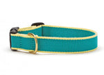 Color Market Dog Collar - Wide