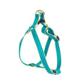 Load image into Gallery viewer, Color Market Dog Harness