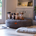 Load image into Gallery viewer, 50 Inch Forever Dog Bed (Waterproof) - Terry Corduroy
