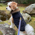 Load image into Gallery viewer, Up Country Gridlock Small Breed Dog Collar Made in USA