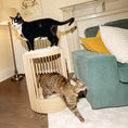Load image into Gallery viewer, Grove Cat Tower