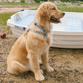 Load image into Gallery viewer, Gull Watch Dog Harness