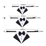 Tuxedo Bow Tie Buckle Collar