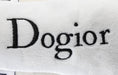 Load image into Gallery viewer, Dogior High-Top Tennis Shoe