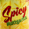 Load image into Gallery viewer, Spicy Muttgarita | Squeaky Plush Dog Toy with Crinkle & Mesh Lining
