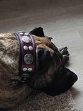 Load image into Gallery viewer, The "Hektor" Burgundy Collar LIMITED