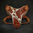 Load image into Gallery viewer, The "Hermes" leather harness - Large and Giant Breeds