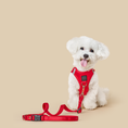 Load image into Gallery viewer, DOGISTRY SoHo Dog Harness - Iconic Red
