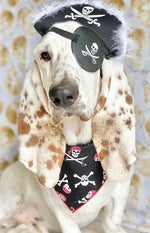 Halloween Dog Bandana Jolly Roger Skull