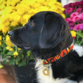 Load image into Gallery viewer, Halloween Dog Collar