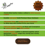 ExionPro Clincher Leather Halter - Brass Nickel Hardware