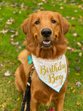 Load image into Gallery viewer, Happy Birthday Boy or Girl Tie Dog Bandana