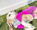 Load image into Gallery viewer, Happy Gotcha Day