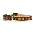 Load image into Gallery viewer, Up Country Harvest Time Small Breed Dog Collar Made in USA
