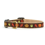 Harvest Time Small Breed Dog Collar