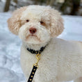 Load image into Gallery viewer, Heart of Gold Dog Lead