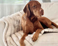 Load image into Gallery viewer, Bowsers Dog Furniture Cover & Blanket Topper in himilayan