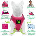 Load image into Gallery viewer, EcoBark Step In Dog Harness - XXXS to Small Breeds- Reflective Soft Mesh Harness for Teacup, Small Dogs and Puppies / Hot Pink