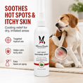 Load image into Gallery viewer, Southlake Paws Hot Spot Soothing Spray in a professional size bottle, designed for calming itchy skin and hot spots on pets.