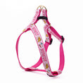 Load image into Gallery viewer, Up Country Howdy Dog Cast Brass Dog Harness
