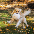 Load image into Gallery viewer, HuggleFleece® Plush Ball Dog Toy - image 4