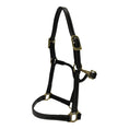 Load image into Gallery viewer, Black leather horse halter with gold hardware on a white background