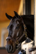 Load image into Gallery viewer, Huntley Equestrian Fancy Stitched Premium Leather Padded Halter