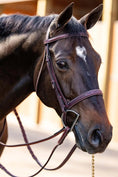 Load image into Gallery viewer, Huntley Equestrian Fancy Stitched Schooling Hunter Bridle with Reins