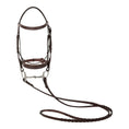 Load image into Gallery viewer, Huntley Equestrian Fancy Stitched Sedgwick Leather Padded Bridle with Reins