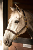 Load image into Gallery viewer, Huntley Equestrian Premium Leather Triple Stitched Halter with Snap