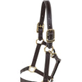 Load image into Gallery viewer, Huntley Equestrian Premium Leather Triple Stitched Halter with Snap