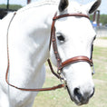 Load image into Gallery viewer, Huntley Equestrian Sedgwick Fancy Stitched Square Raised Hunter Horse Bridle with Reins