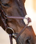 Load image into Gallery viewer, Huntley Equestrian Sedgwick Leather Padded Monocrown Figure 8 Bridle