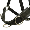 Load image into Gallery viewer, Huntley Nylon Padded Lunging Caveson, Black
