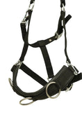 Load image into Gallery viewer, Huntley Nylon Padded Lunging Caveson, Black