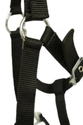 Load image into Gallery viewer, Huntley Nylon Padded Lunging Caveson, Black