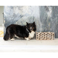 Load image into Gallery viewer, Huntley Pet Elevated Dog and Cat Double Bowl Feeder
