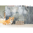 Load image into Gallery viewer, Huntley Pet Elevated Dog and Cat Double Bowl Feeder
