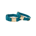 Load image into Gallery viewer, Hayden Dog Collar