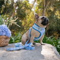 Load image into Gallery viewer, Frenchie Duo Reversible Harness - Hydrangea