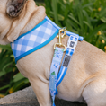Load image into Gallery viewer, Frenchie Duo Reversible Harness - Hydrangea