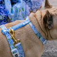 Load image into Gallery viewer, Frenchie Strap Harness - Hydrangea