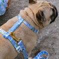 Load image into Gallery viewer, Frenchie Strap Harness - Hydrangea